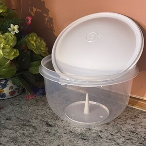 Clear and White Salad Spinner